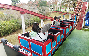 ベニーランド取材