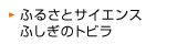 �ӂ邳�ƃT�C�G���X �ӂ����̃g�r��