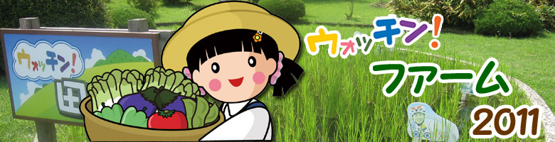 �E�H�b�`���I�v���W�F�N�g