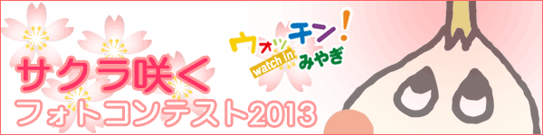 �E�H�b�`���I�݂€�@���t�H�g�R���e�X�g2012