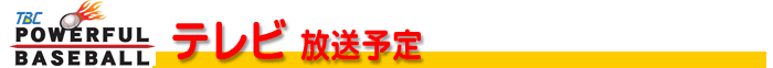 TBC�e���r�y�V�풆�p�\��