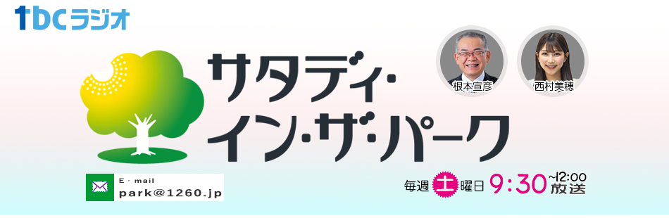 サタディ・イン・ザ・パーク
