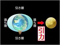 C̊i񂿂傤jƖi܂񂿂傤ĵӂ