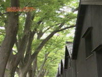 uς肠܂ˁIȊw̃EÂv