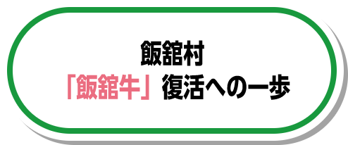 飯舘村