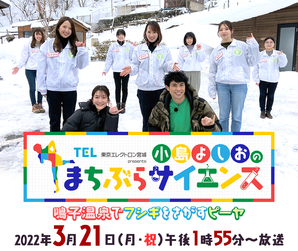 GNg{presents 悵̂܂ԂTCGX